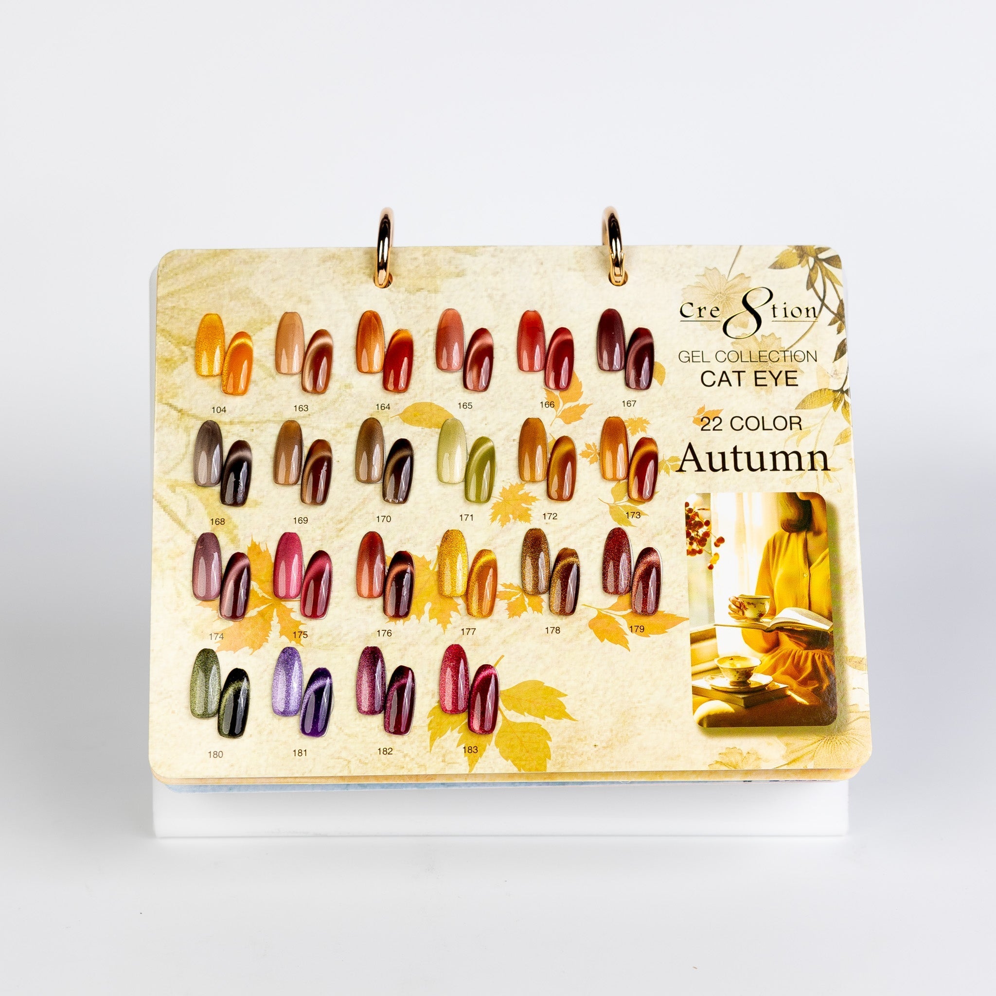 Cre8tion Calendar Display - Cat Eye Collections